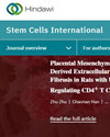 Stem Cells International杂志封面